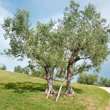 Ferienwohnung Mit Pool Piedicolle - Collazzone 142s * Toscella